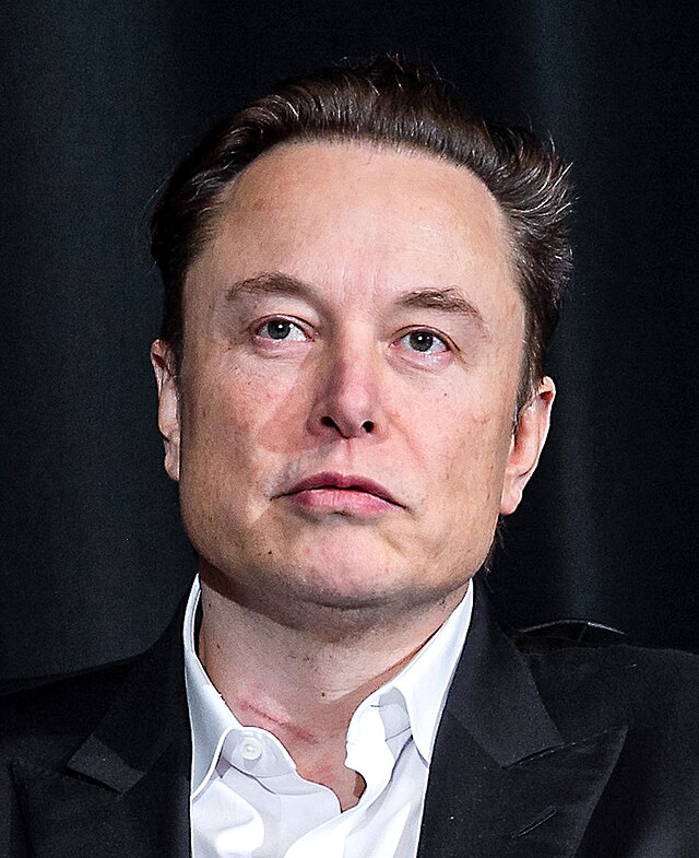 Elon Musk - Wikipedia website picture