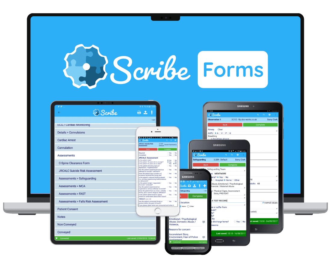 Scribe Forms – Doc-works website picture
