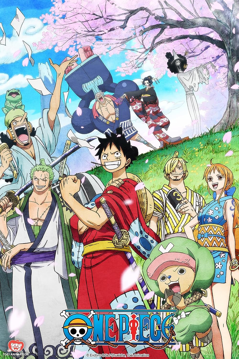 One Piece (TV Series 1999– ) - IMDb website picture