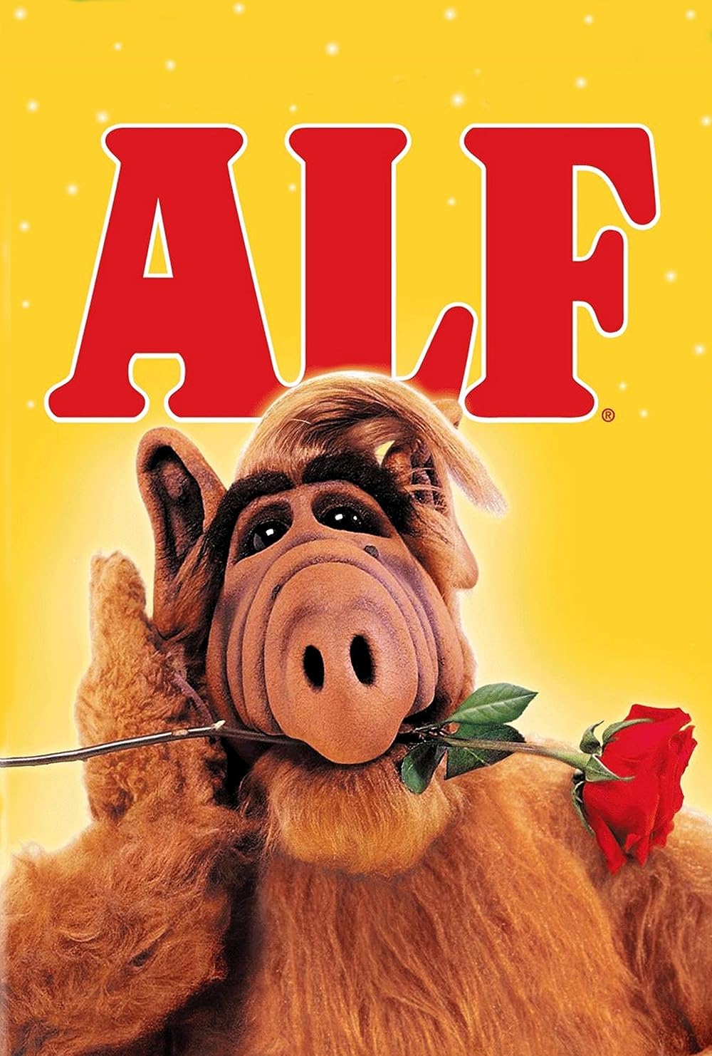 ALF (TV Series 1986–1990) - IMDb website picture