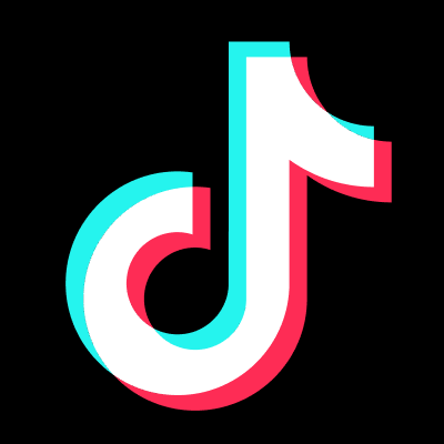 TikTok - Make Your Day website picture